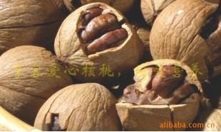 供应手剥奶油山核桃(核桃仁)